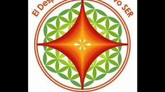 La Flor de la Vida - Centro Holístico La Flor de la Vida - Centro Holístico