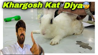 Rabbit Dissection - Jutt Vlogs