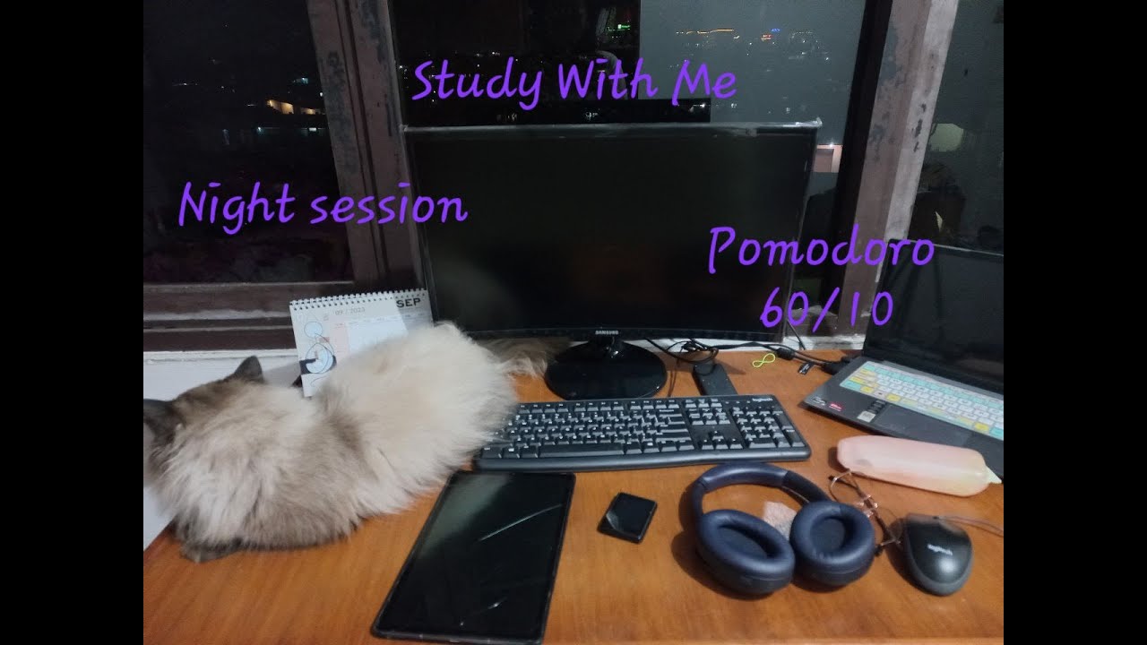 Study and Work with Me I Pomodoro I USMLE I 60 mins / 10 mins I 