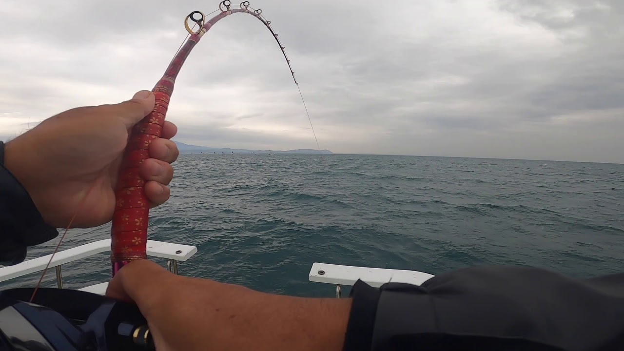 マグロ釣り 小ネタ詰め合わせ 剣崎沖でコマセ真鯛釣り