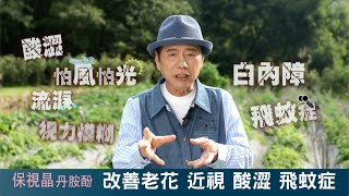 【保視晶】網路用1版3分