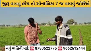 જીરૂ વાવવું હોય તો સોનાલિકા 7 વેરાયટી જ વાવવી જોઈએ 8780622775 / 9662612444