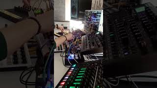 Techno Jam With Eurorack Roland Tr-8S Roland Sh-4D