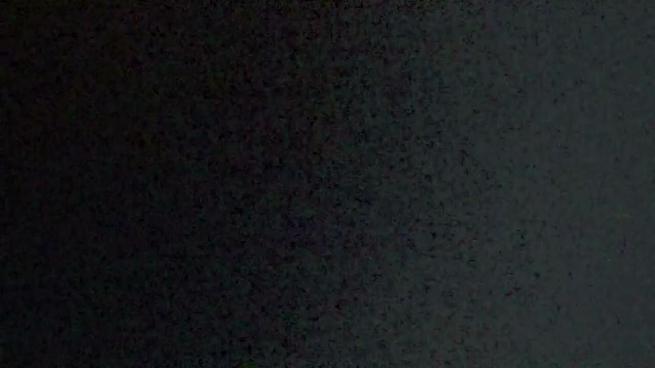 エンゲルス 補録 [一八九三年六月末の『ザ・デイリー・クロニクル』紙特派員とのフリードリヒ・エンゲルスのインタビュー]