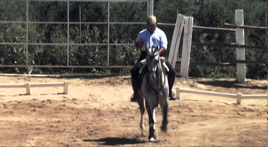 Rafael Arcos. Anuncio Coleccion 11 DVDs