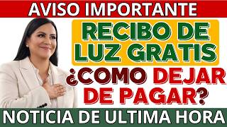 💡 Recibo de luz gratis con tu INAPAM: esto es lo que debes hacer 📅