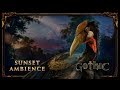 Peaceful Nature Ambience - Gothic 1 | Forest Sounds - Bird Song (No Music)