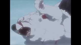 Balto & kiba vs darcia -