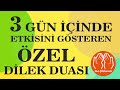 3 GÜN İÇİNDE ETKİSİNİ GÖSTEREN ÖZEL DİLEK DUASI