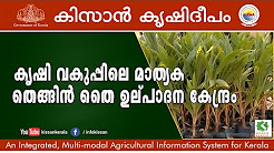 Documentary feature on Coconut Nursery, Department of Agriculture, Kazhakkuttam episode- 631