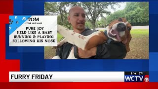 Furry Friday: Tom