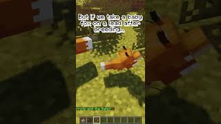 How to "tame" fox in Minecraft.