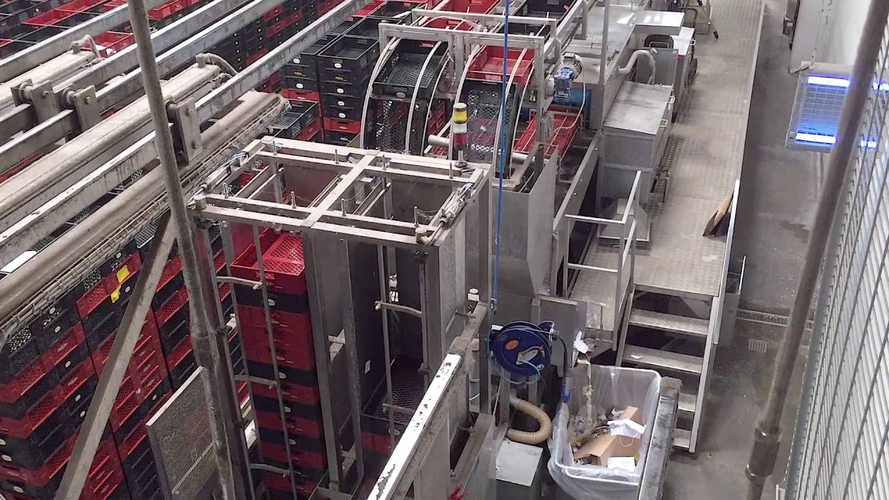 SEMI STAAL Crate washing, storage and distribution system