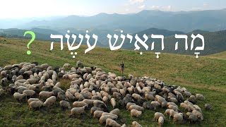 Review Game for Lessons 143-144 - Biblical Hebrew screenshot 4