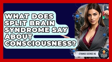 What Does Split Brain Syndrome Say About Consciousness? - Strange Science HQ