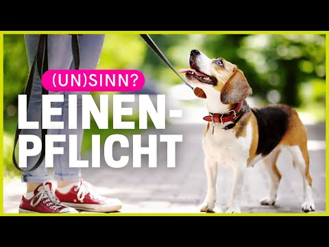 Video zum Thema