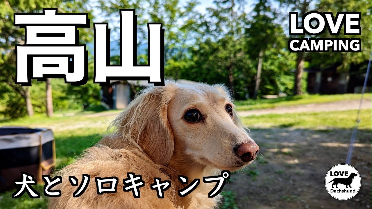 【上毛高原】群馬で焚き火と星空を満喫するソロキャンプ - LOVE CAMPING