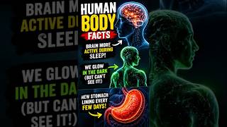 ✨ “Human body facts that sound fake… but are actually true! 🤯🧠” #Shorts #Facts #HumanBody #Science