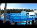 新　マリンピア日本海　イルカショー の動画、YouTube動画。
