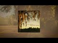 Cole Swindell - Someone Worth Missing (Audio)