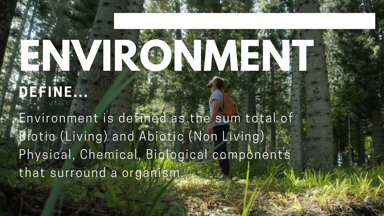 Define Environment