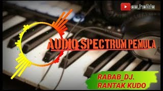 RANTAK KUDO VS RABABDJ #audio_spectrum pemula versi Organ Tunggal.