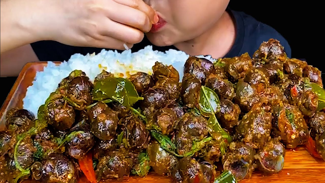 Eating Snail And Cooking Recipe