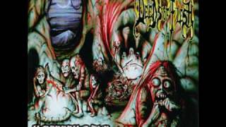 Watch Deeds Of Flesh Fly Shrine video