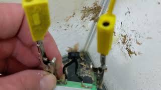 Why you should never connect an electrolytic capacitor backwards (exploding capacitor)