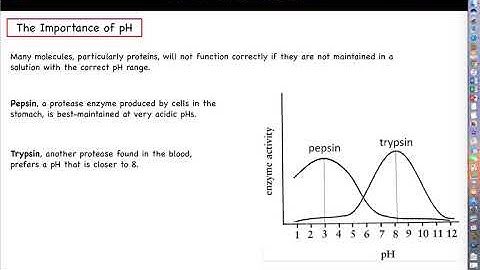 Intro to Biotechnology - Chapter 3 Lecture Part 4 - pH Measurement and Adjustment