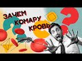 Зачем комары пьют твою кровь Хороший Вопрос Зачем комары пьют твою кровь Хороший Вопрос