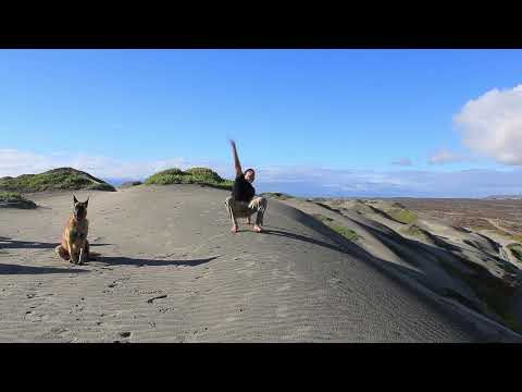 Macaco to Handstand