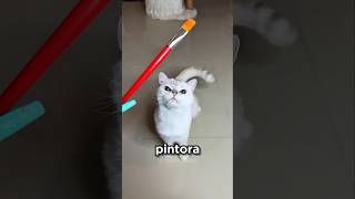 THE KITTY WENT OVERBOARD WITH THE ART