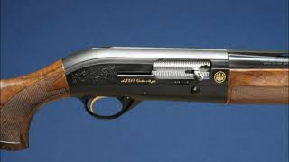 💥 BERETTA AL391 URIKA