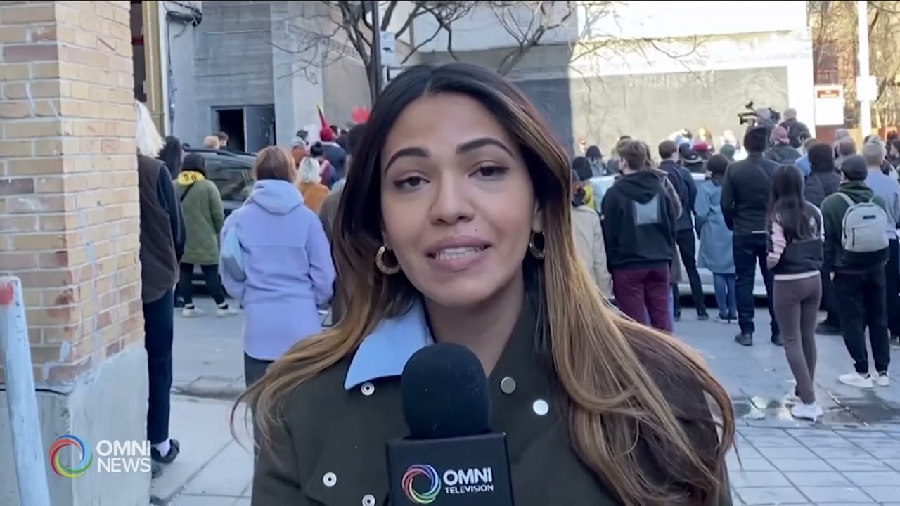 Wala Amara - Multimedia Journalist and presenter