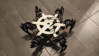 Hexapod Robot Walking | Bachelor's Engineering Project Showcase