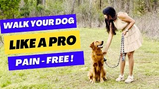show your dog what you want | Gentle Techniques for a Painfree walk with Your Dog