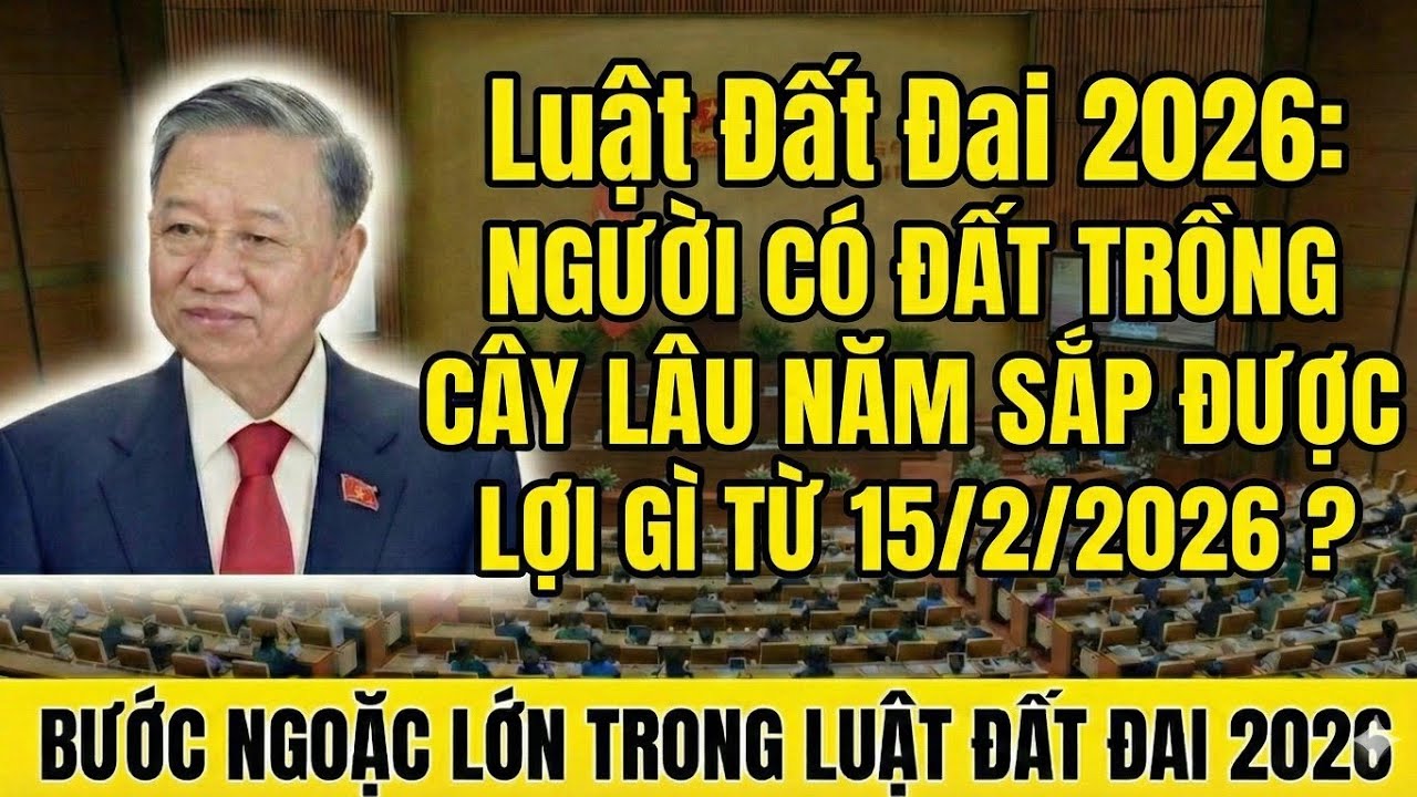 Luật Đất Đai 2026: Người Có Đất Trồng Cây Lâu Năm Sắp Được Lợi Gì Từ 15/2/2026 ? Luật Đất Cho Dân 