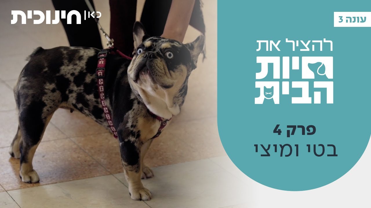 להציל את חיות הבית 3 🐶 | פרק 4 - בטי ומיצי