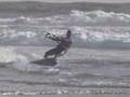 Kitesurfing in the sf bay by nixypix