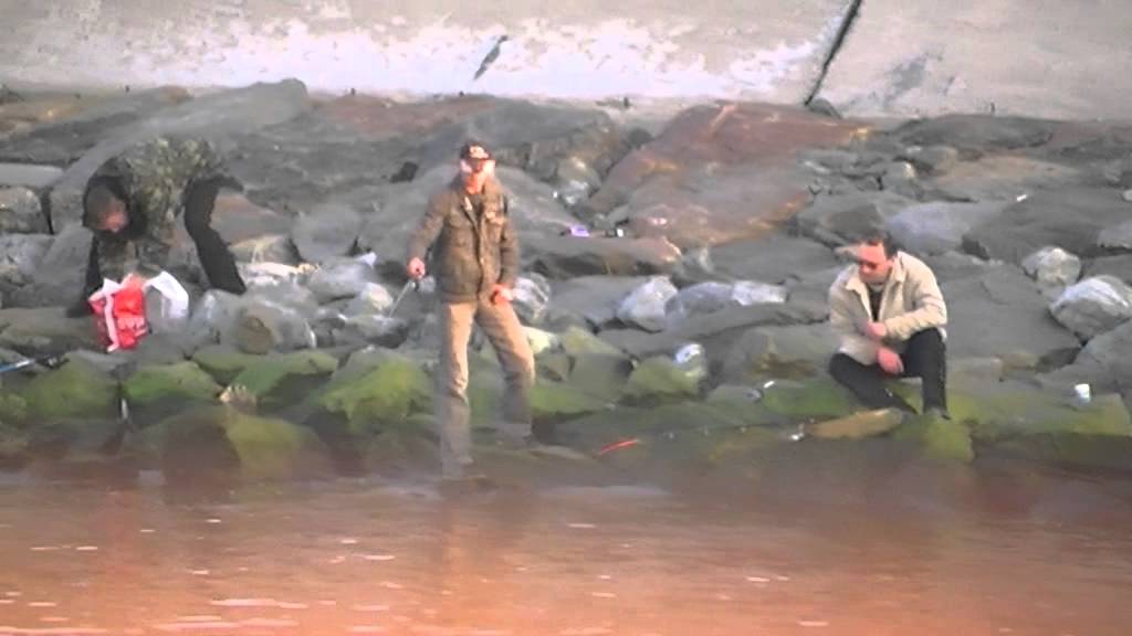Рыбалка в Одессе Fishing in Odessa YouTube