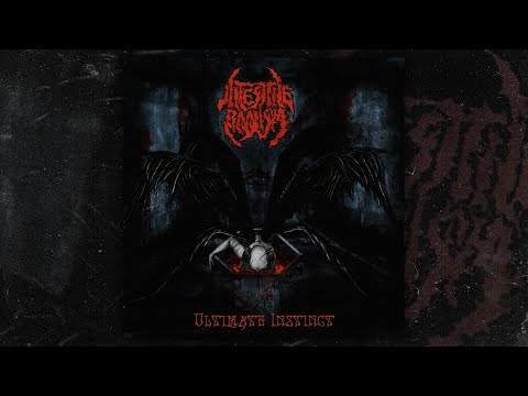 Intestine Baalism - Ultimate Instinct (FULL ALBUM/2008) - YouTube