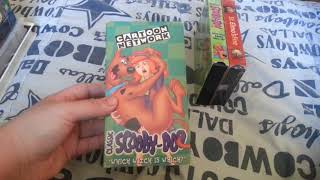 VHS Update For November 13th 2018