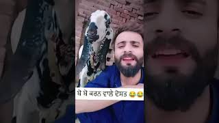 😂😂🤣#trending #viralvideos #source #viralshort #punjabicvlog #comedy #livescalping #scalping
