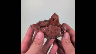  vidéo