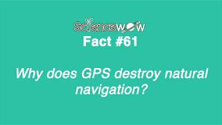 Why Does Gps Destroy Natural Navigation? Fact
