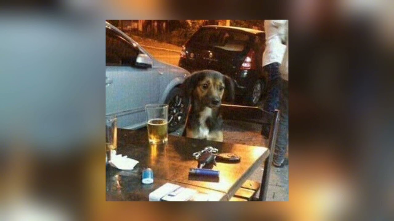 Barões da Pisadinha - Cabeça Voando (Slowed & Reverb)