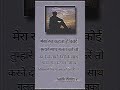Mera rab kehta hai #new #viralvideo #shortvideo @sadikwriter2