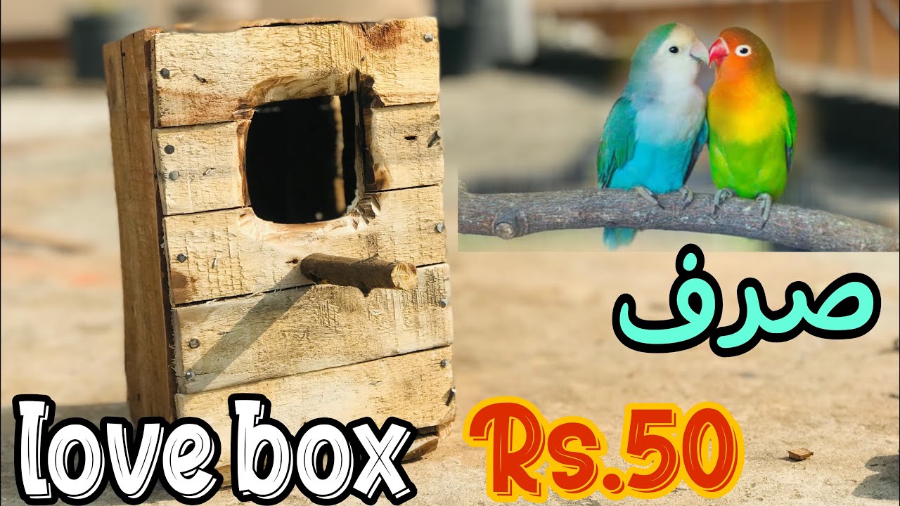 How to make love birds box/love birds box. YouTube