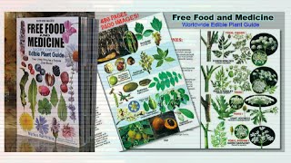WORLD WIDE EDIBLE PLANT GUIDE | MARKUS ROTHKRANZ screenshot 3